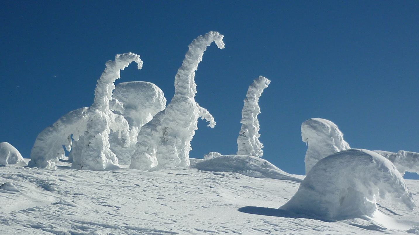 ice ghosts